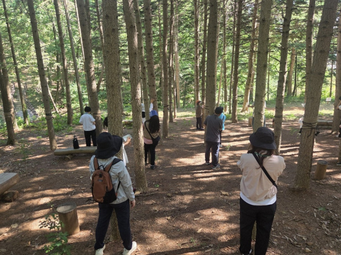 Incheon Grand Park’s ‘Incheon Healing Forest’ Expands Forest Therapy Programs