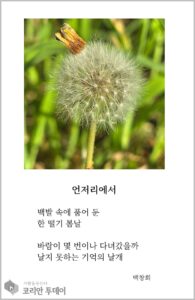[디카시 명작선-6] 민들레 씨앗에 남은 어머니의 기억