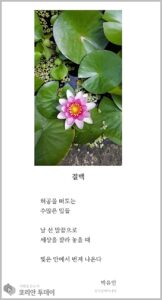 [디카시 명작선-7] 날 선 말들의 시대, 내면의 빛을 말하다