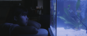 수영장 속 물고기 인천독립영화제 전국 섹션3 상영…이명을 나눈 두 학생
