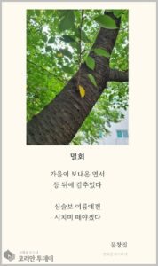 [디카시 명작선-11] 여름 몰래 받아 든 가을의 연서