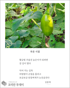 [디카시 명작선-15] 늙음에 이르는 것도 삶의 축복이다