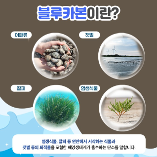 Incheon Begins Securing 'Blue Carbon' from Marine Resources