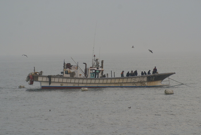 [코리안투데이] Fishery patrol vessels conducting illegal-fishing enforcement in the waters off Incheon © 장형임 기자