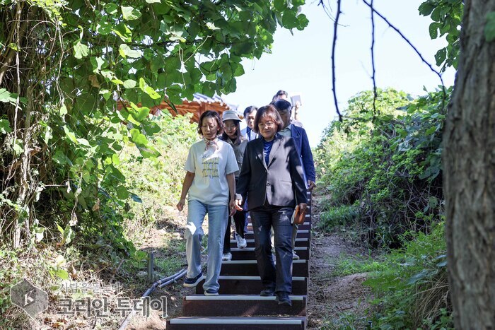 [The Korean Today] イェダンポ周遊路竣工現場の安全点検 © キム・ミヒ記者