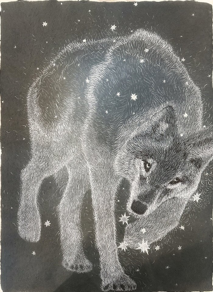 Hong Ilhwa à Art Shopping Paris : la coexistence au cœur de la forêt et du regard animal