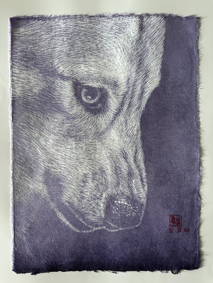 Hong Ilhwa à Art Shopping Paris : la coexistence au cœur de la forêt et du regard animal