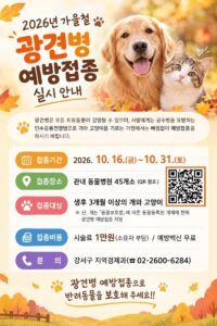 강서구, 16~31일 지정 동물병원 45곳서 가을철 광견병 예방접종…백신 2,500마리분 무료, 시술료 1만 원만