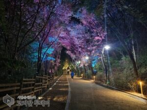 어둡던 송현근린공원 숲속 산책로, 밤에도 안심하고 걷는다