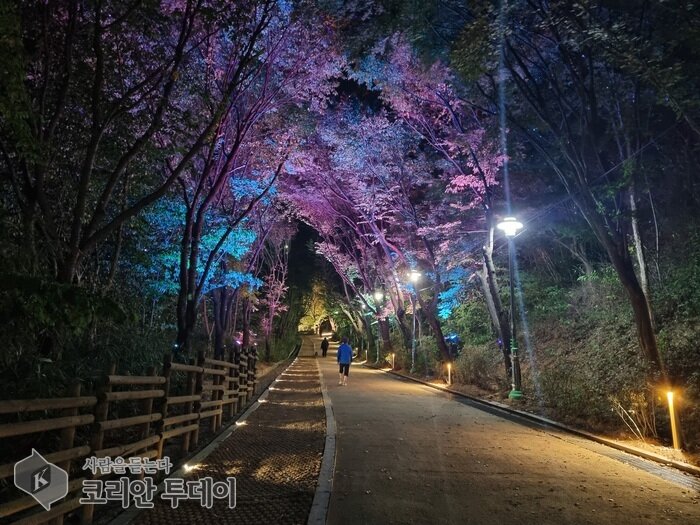 Songhyeon Neighborhood Park Forest Trail, Once Dark, Now Safe for Night Walks